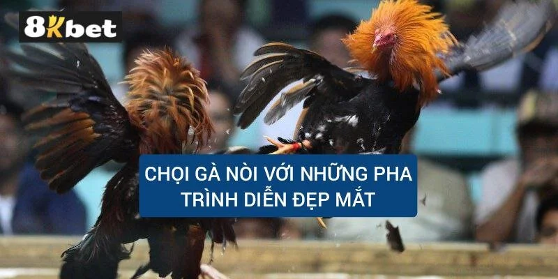 choi-ga-noi-nhung-pha-trinh-dien-dep-mat