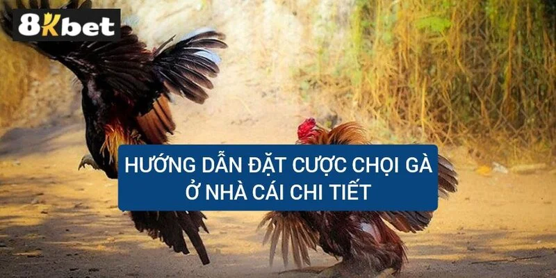 huong-dan-dat-cuoc-choi-ga-o-nha-cai