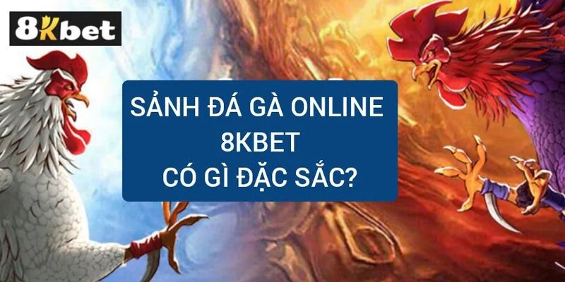 sanh-da-ga-online-8kbet-co-gi-dac-sac