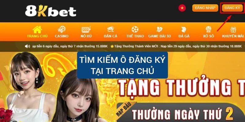 tim-kiem-o-dang-ky-tai-trang-chu