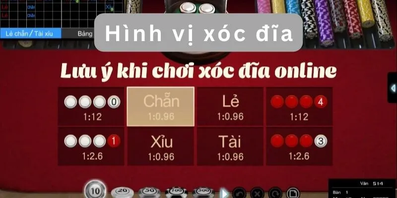 cach-nhin-hinh-vi-xoc-dia